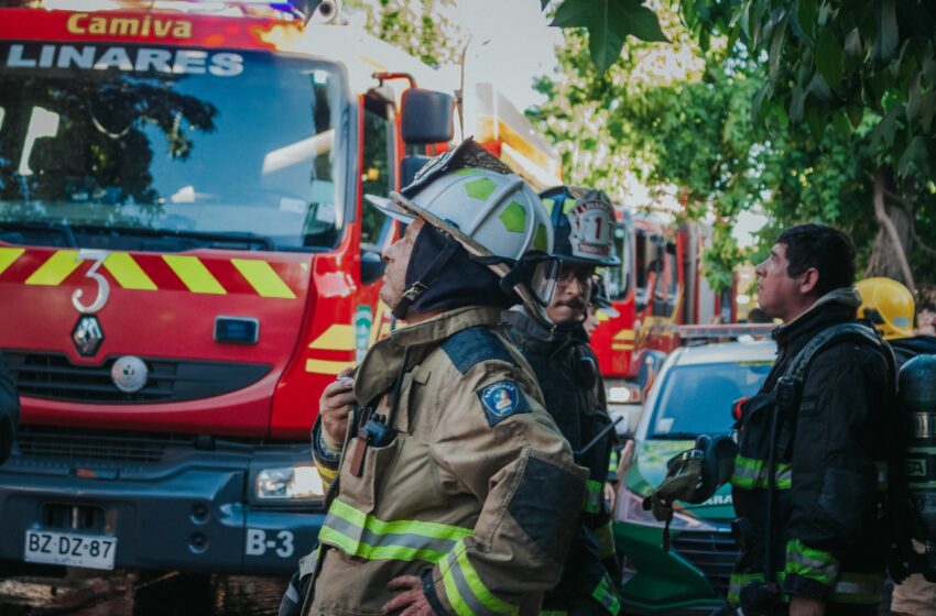  Φωτιά στο Χαλκούτσι Ωρωπού: Μεγάλη κινητοποίηση της Πυροσβεστικής – Μήνυμα 112 στους κατοίκους