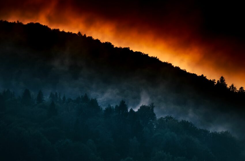  Σαλαμίνα: Μεγάλη φωτιά στα Περιστέρια – Εννέα άτομα με εγκαύματα στο Κέντρο Υγείας